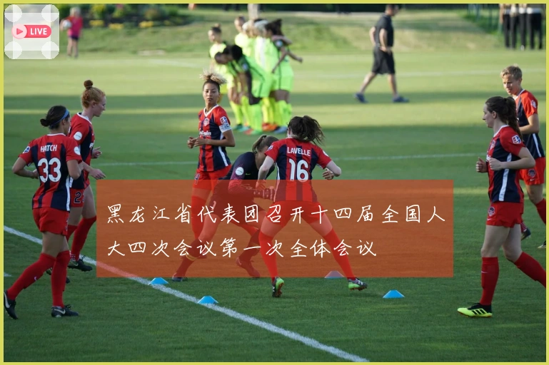 黑龙江省代表团召开十四届全国人大四次会议第一次全体会议