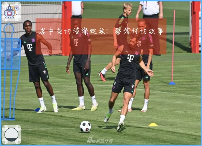 岩中花的璀璨绽放：蔡侑玎的故事