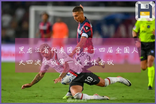 黑龙江省代表团召开十四届全国人大四次会议第一次全体会议